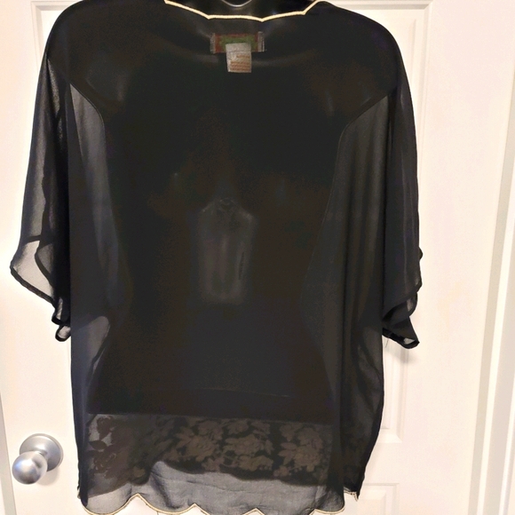 Beautiful sheer Flying Tomato top - Picture 3 of 4